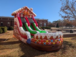 15ft20Gingerbread20Slide20Wet20or20Dry203 1736822531 15ft Gingerbread Slide (Wet or Dry)