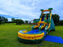 19ft20California20Palms20Slide201 1737316945 19ft California Palms Slide (Wet or Dry)