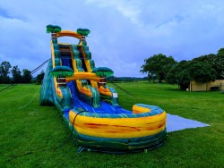 19ft20California20Palms20Slide202 1737316946 19ft California Palms Slide (Wet or Dry)