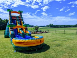 19ft20California20Palms20Slide205 1737316946 19ft California Palms Slide (Wet or Dry)