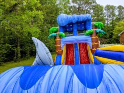 Surfs20Up20Bounce20House20with20Dual20Lane20Slide203 173 1 Surfs Up Bounce House with Dual Lane Slide (Wet or Dry)