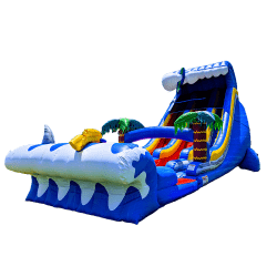 24ft Surfs Up Dual Lane Slide (Wet or Dry)